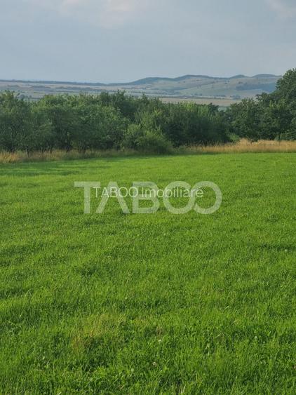 Teren pretabil cabana sau gradina 1670 mp zona deosebita Sibiel - 2