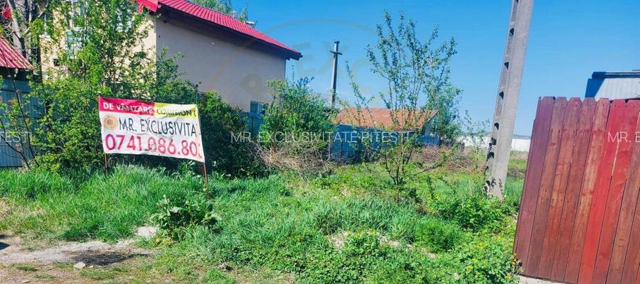  TEREN INTRAVILAN Pitesti - Bananani  - 2183 mp - 4