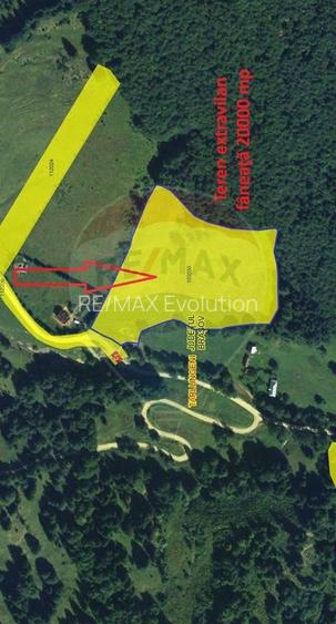 Teren 20000 mp, sat Dalghiu, com Vama Buzaului - 5