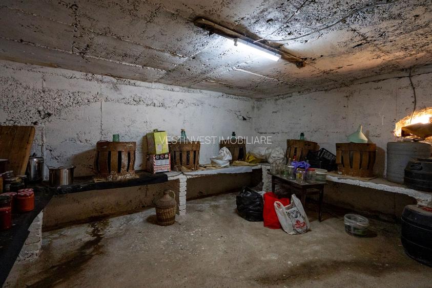 Casa de vanzare cu 2 camere si teren 1068 mp zona Renașterii - 9