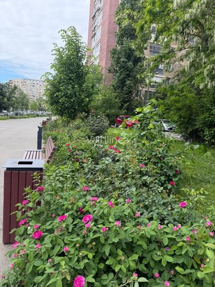 📍 Apartament 2 camere decomandat STRADAL – ideal locuință sau spațiu comercial  - 12