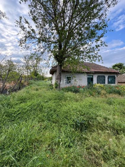 Casa  (30 min de Bucuresti) în Tamadau (lângă lacul Mostistea) cu teren 850 m - 4