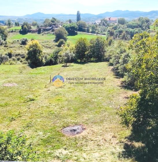 TEREN intravilan  2510 mp BORLEȘTI - ȘOVOAIA - 5