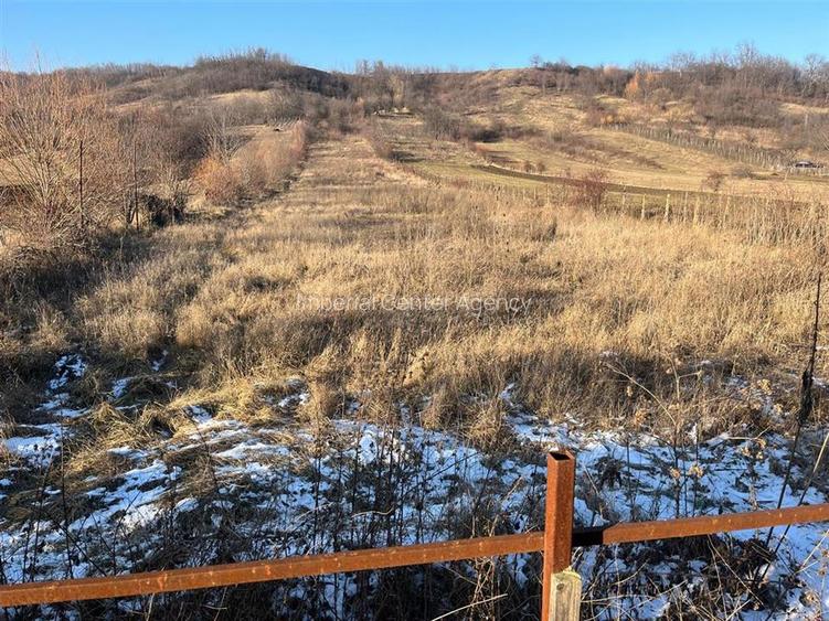 CASA DEMISOL+ PARTER SI TEREN DE VANZARE BOGDANESTI - BACAU - 7