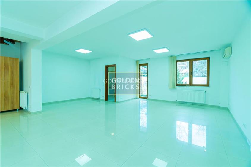 Piata Victoriei | Parter si etaj in vila | Garaj | 160mp - 12