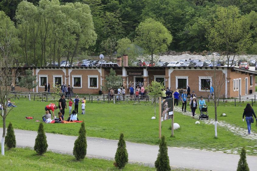 Domeniul Herneacova - 4