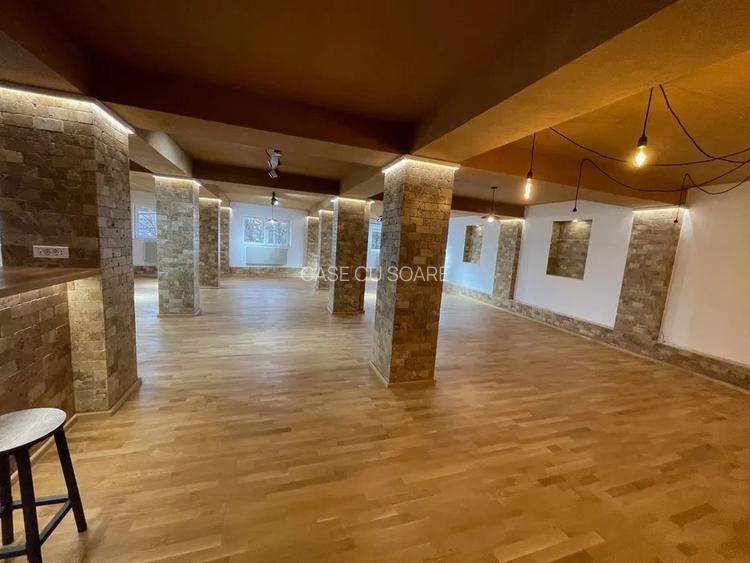 Spatiu birou, activitati artistice - zona Razoare- P-ta Danny  Huwe - 3