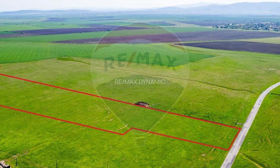 5 hectare teren agricol cu front la șosea, zona Sântana - 2