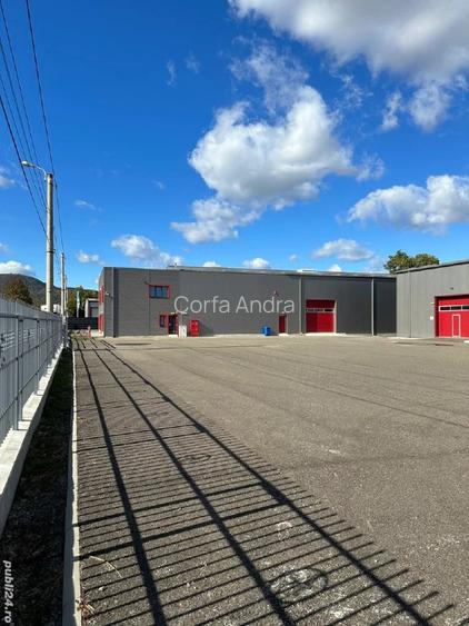 De vanzare Hale + Birouri  - 5