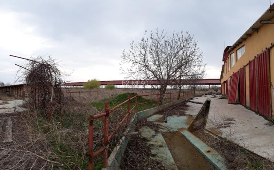 de vanzare Ferma Vaci - 12