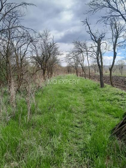 Teren de vanzare in Vaidei - 8