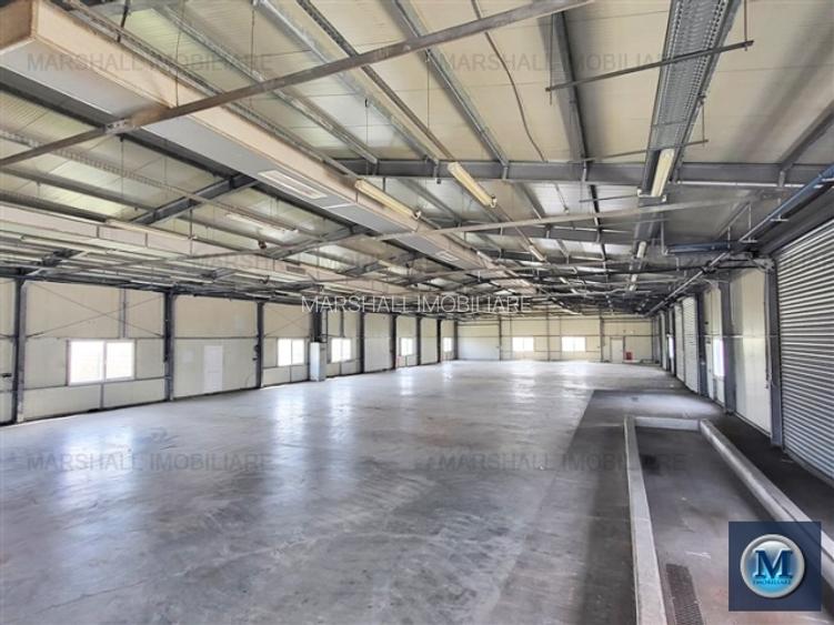 Spatiu industrial de inchiriat, zona Exterior Vest, 1026 mp #16461 - 2