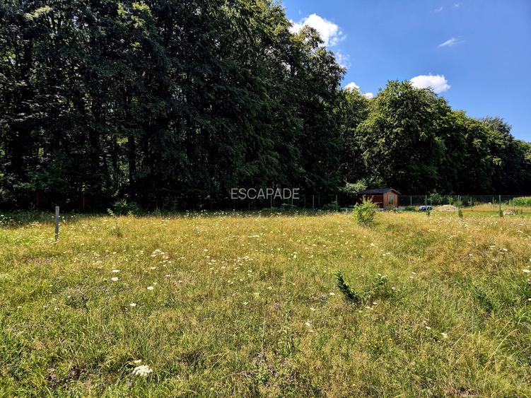 Comision 0 %, teren intravilan Sambata de Sus, ideal cabana weekend - 4