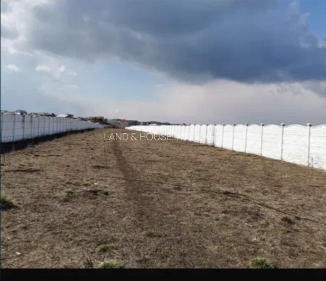 TEREN INTRAVILAN DE VÂNZARE – 3.015 MP – TUNARI– IDEAL INVESTIȚIE,DEZVOLTARE - 4