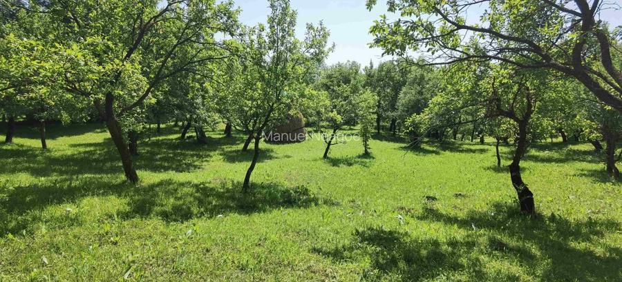 Teren intravilan Talea situat in mijlocul naturii ! - 5