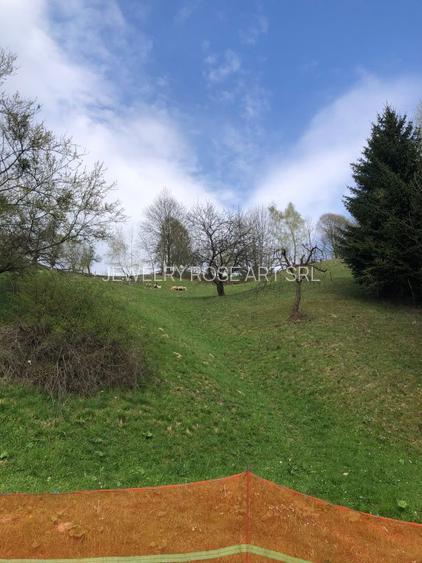 Teren intravilan, 19 eur/mp,  de -a lungul raului Simon( Bran-Brasov) - 2