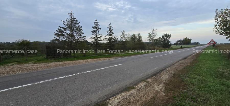 LIVADA  DE VANZARE FOCSANI-DUMBRAVITA  1,8  HA - 25