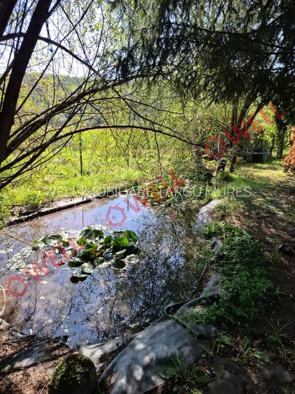 De vânzare casă familială situată în Miercurea Nirajului, zona Sântandrei! - 19