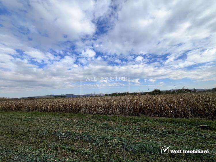 Teren 26.000mp, halta Rascruci drum european E576 Cluj - Dej - 4