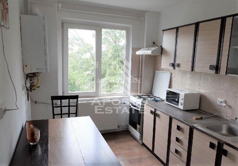 Apartament cu 2 camere, de inchiriat, Iulius Mall, Timisoara - 4