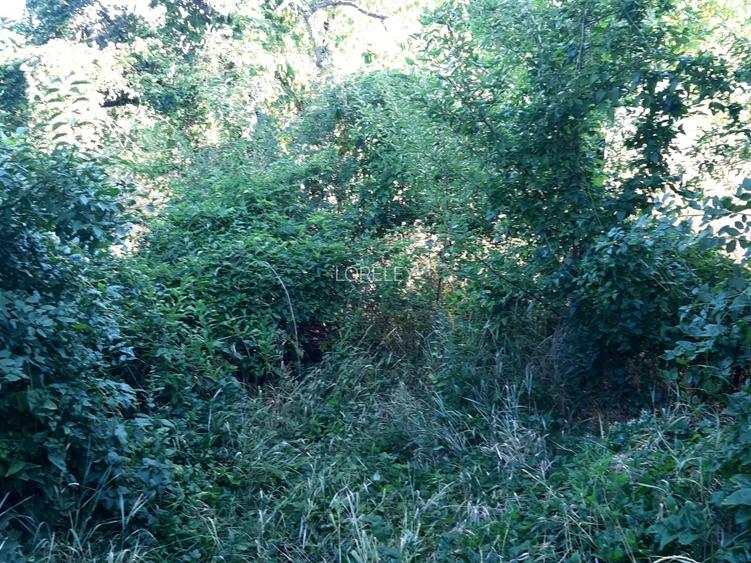 De vanzare teren construibil pe str. Posada-2100 mp - 4