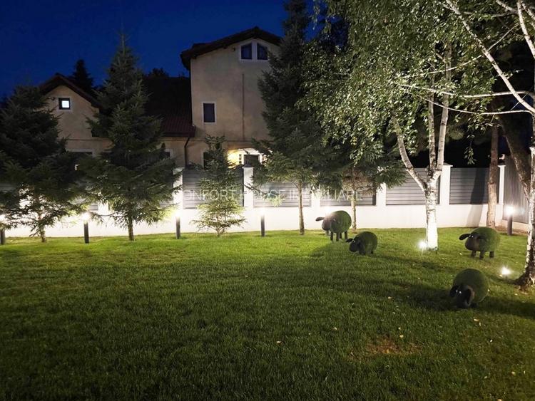 Vila de lux, stil contemporan -  IANCU NICOLAE - 6