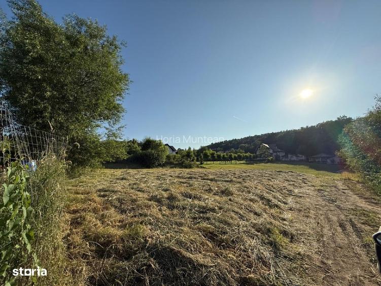 Teren de vânzare intravilan Cisnadioara - certificat urbanism - 3