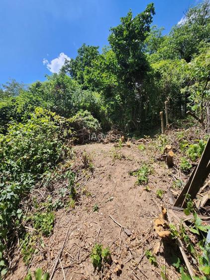 CASA CU TEREN IN Cartierul Schei - 9