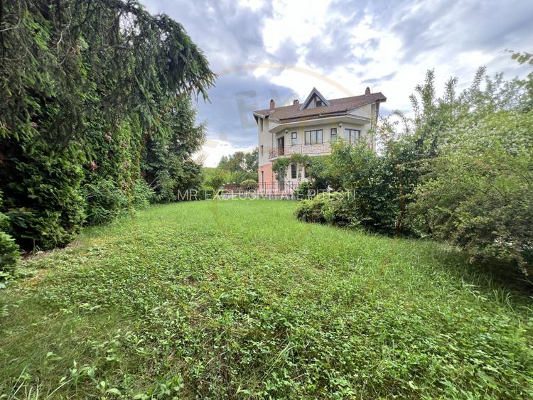 Acasă la Bascov- Județ Arges cu peisaj de poveste - 5
