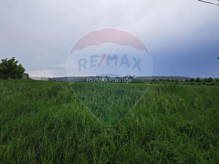 Teren Ciolpani 15.000 mp oportunitate posibilitate lotizare 5000 mp - 8