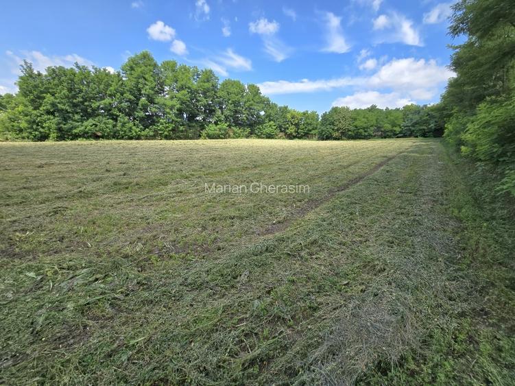 Vând teren intravilan 4.725 mp – comuna Roma, jud. Botoșani - 3