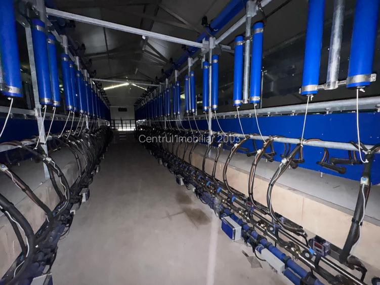 Ferma de vanzare Vitanesti Teleorman - 8