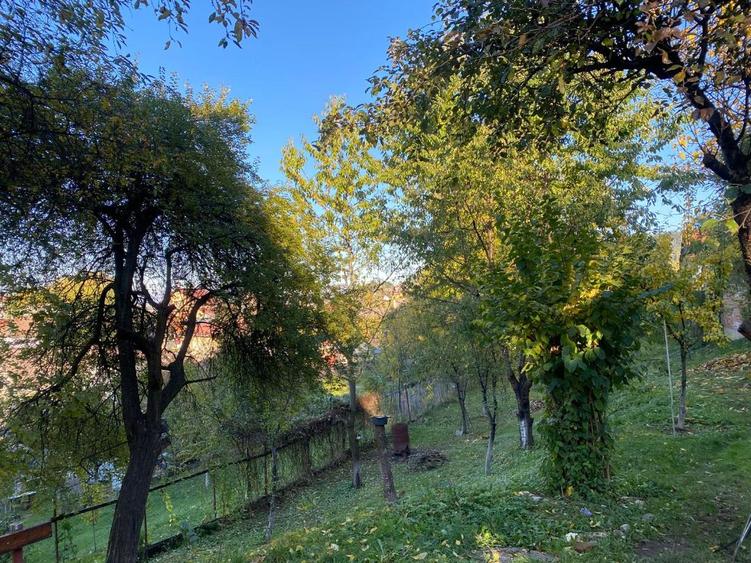 Sacele, casa, teren 1550 mp, 145000 euro - 3