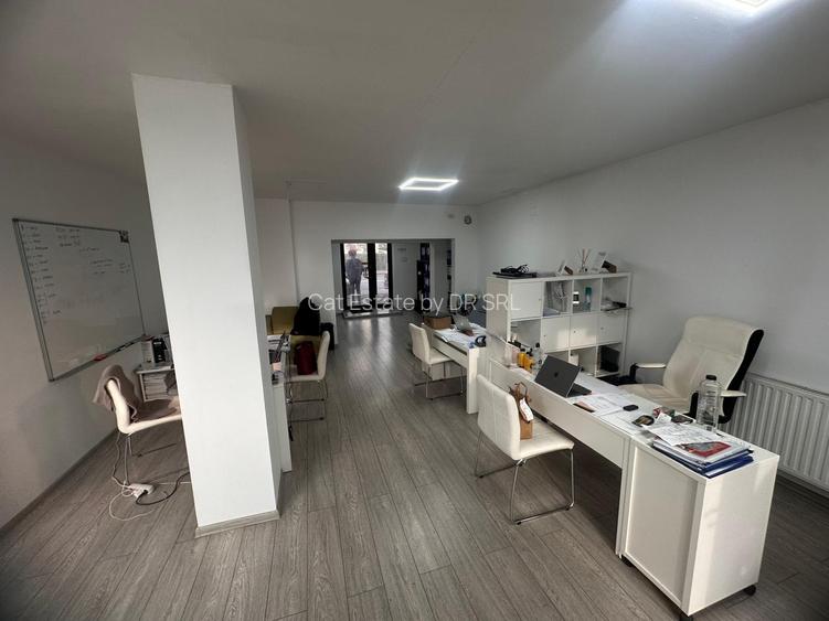 SAD zona Lipovei Dedeman - 6