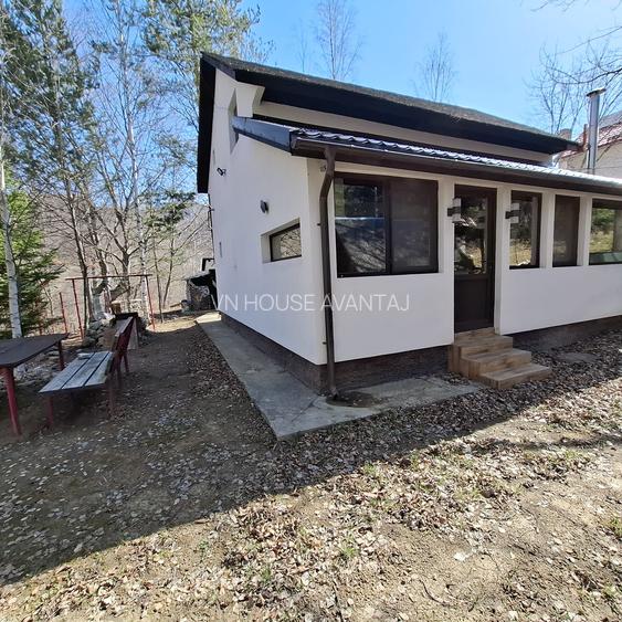 Casa de Vacanta Lepsa - 2