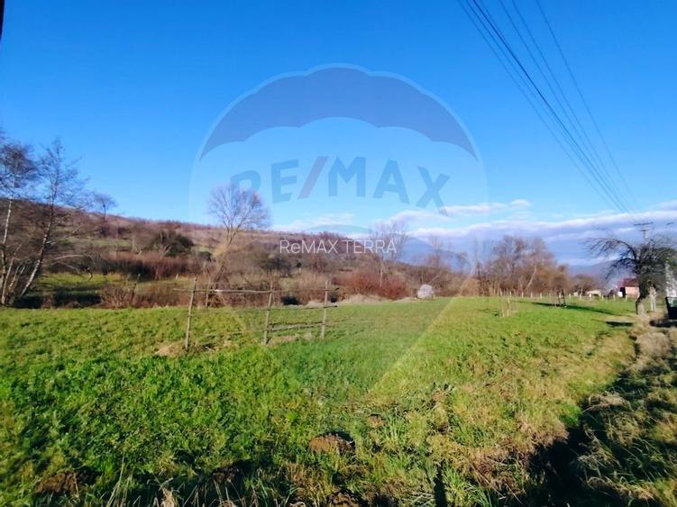 COMISION 0%  Teren intravilan de vanzare in Barsana (26 ARI) - 10