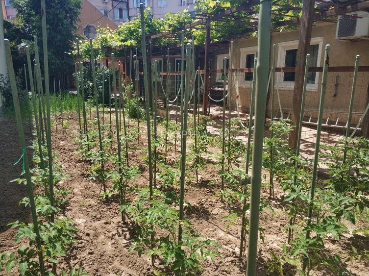 Zona Centrala - Teren 635 mp cu deschidere 14 ml - 2