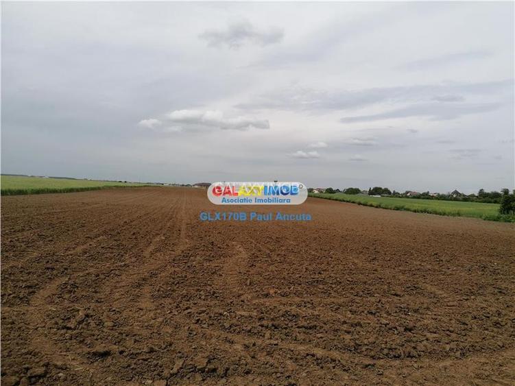 Teren Balotesti str Fabricii 56000 mp apropire cartiere case noi - 2