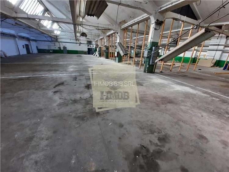 Hale de inchiriat cu suprafata intre 100-1700 mp in Cisnadie - 17