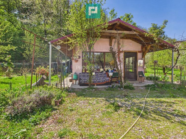 Casă Câmpani, 8000 mp teren, la poalele Apusenilor - 22