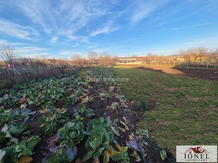 Vanzare casa in Craciunelu de Jos 1700 mp teren - 9
