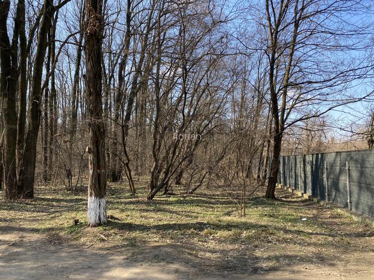 15000 mp padure! - 5