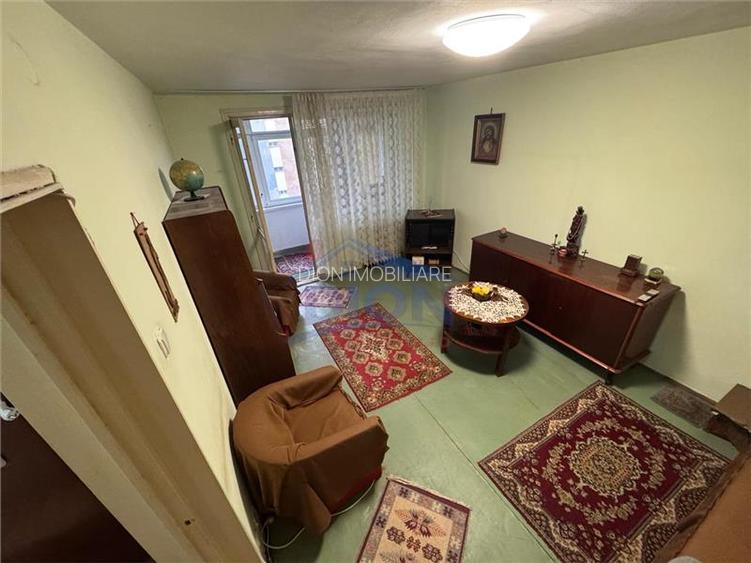APARTAMENT 2 CAM, DRISTOR BABA NOVAC - 10