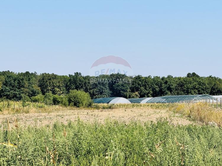 Teren 6,210mp Apateu / Strada Principala - 6