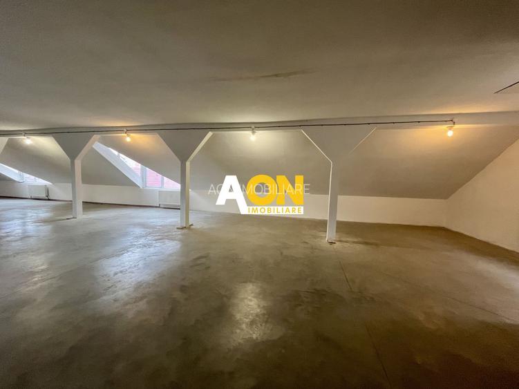 Spațiu Comercial, 400mp Nivel, Cetate - 6