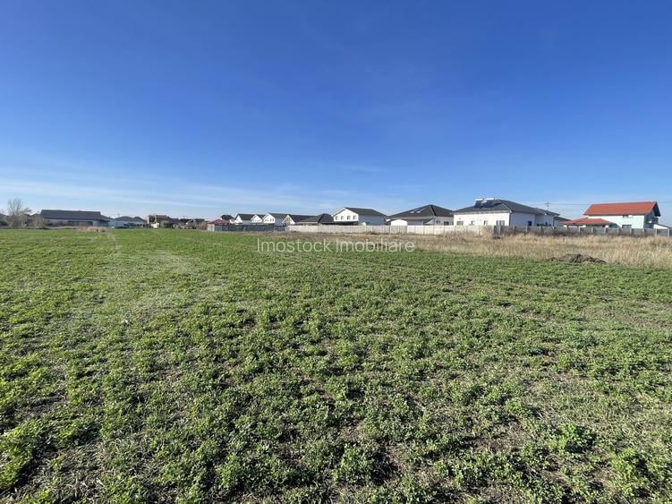 Teren 4316 mp Giarmata Vii-zona mica industrie, depozitare si servicii - 3