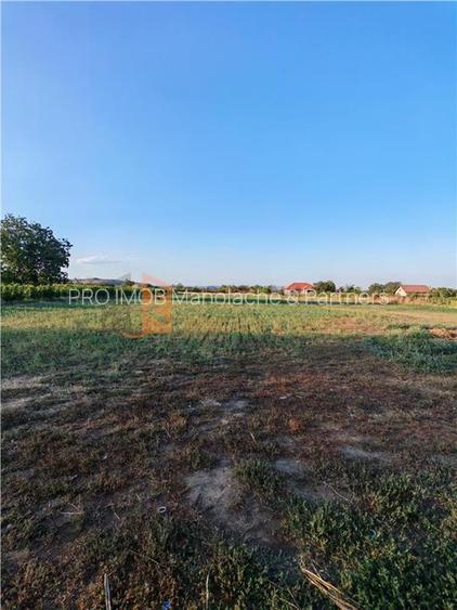 EXCLUSIVITATE! Teren intravilan in Merei Buzau - 4