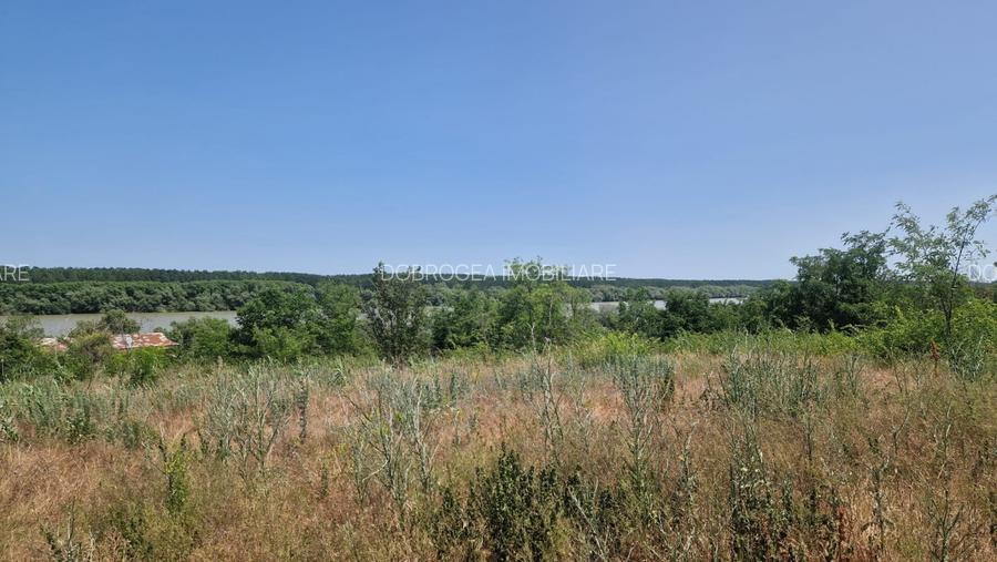  MAHMUDIA-TERENURI SI CASE - 2