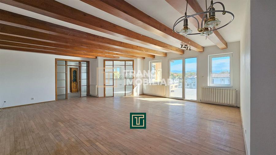 Proprietate multifunctionala - teren generos, cladire si hala in Lugoj - 8