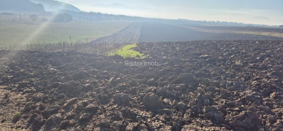 Teren extravilan intrare Bod din Sanpetru pentru investitie sau parcelare - 3